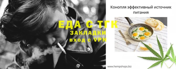 стаф Бородино