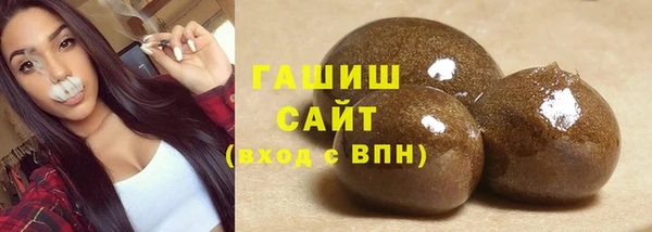 стаф Бородино