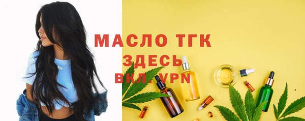 стаф Бородино
