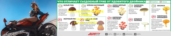 амф Бугульма