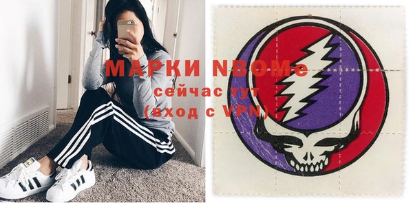 стаф Бородино