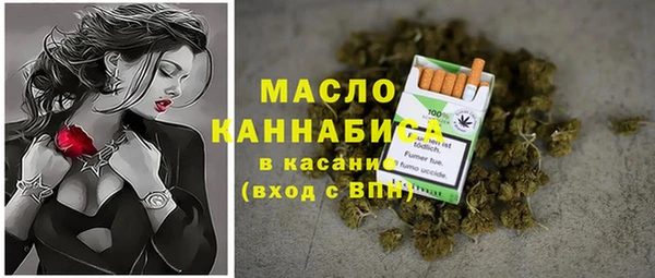 стаф Бородино