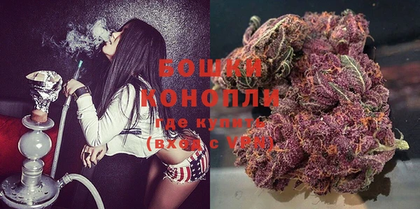 стаф Бородино