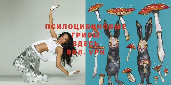 амф Бугульма